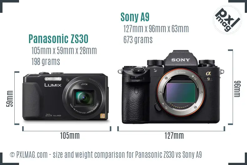 Panasonic ZS30 vs Sony A9 size comparison