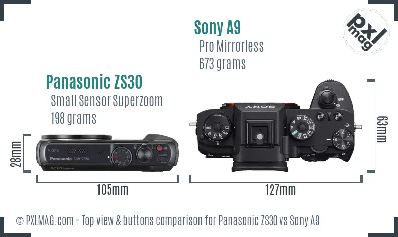 Panasonic ZS30 vs Sony A9 top view buttons comparison