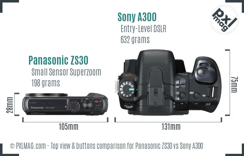 Panasonic ZS30 vs Sony A300 top view buttons comparison