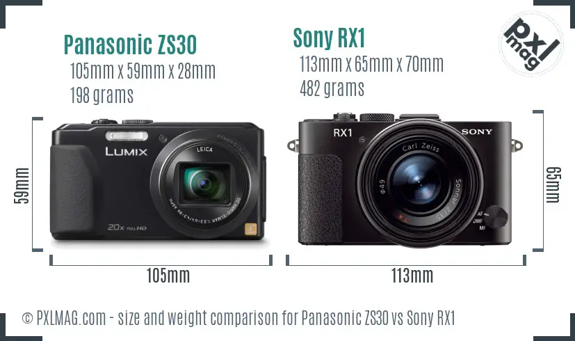 Panasonic ZS30 vs Sony RX1 size comparison