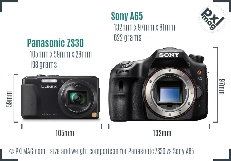 Panasonic ZS30 vs Sony A65 size comparison