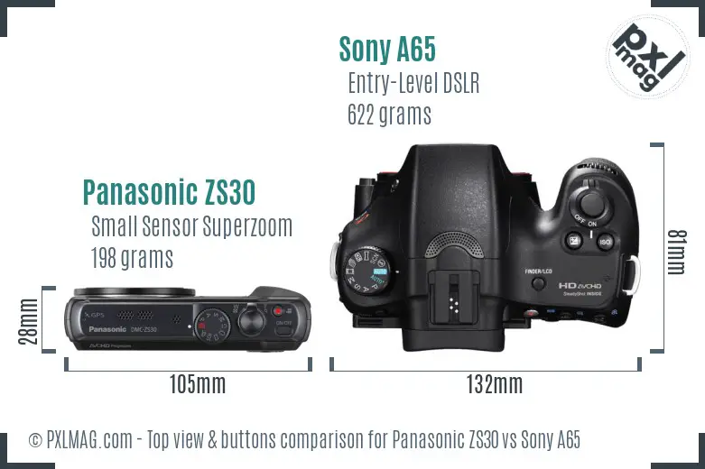 Panasonic ZS30 vs Sony A65 top view buttons comparison