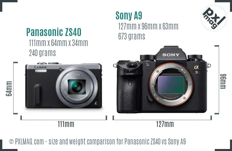 Panasonic ZS40 vs Sony A9 size comparison