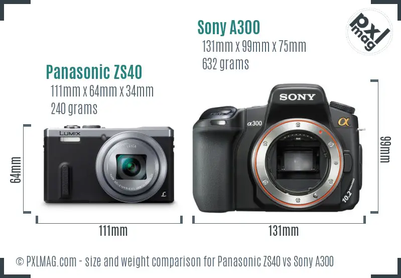 Panasonic ZS40 vs Sony A300 size comparison