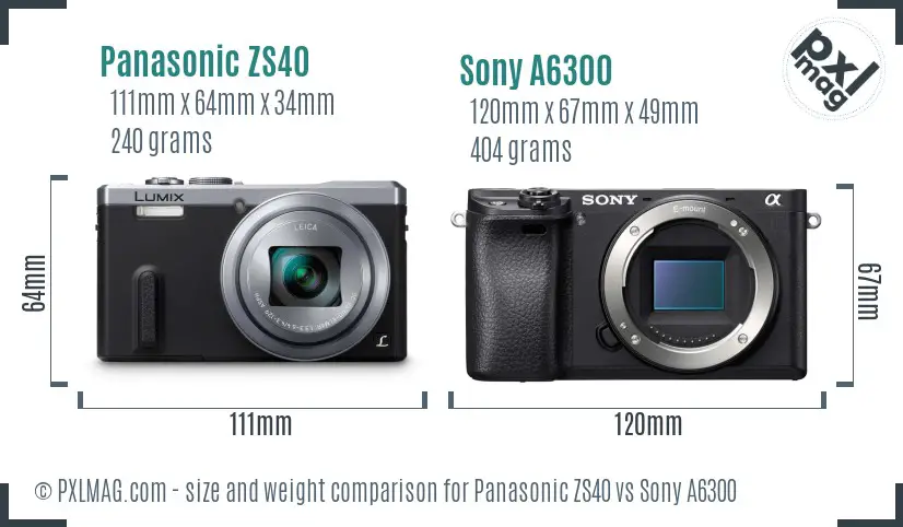 Size Comparison