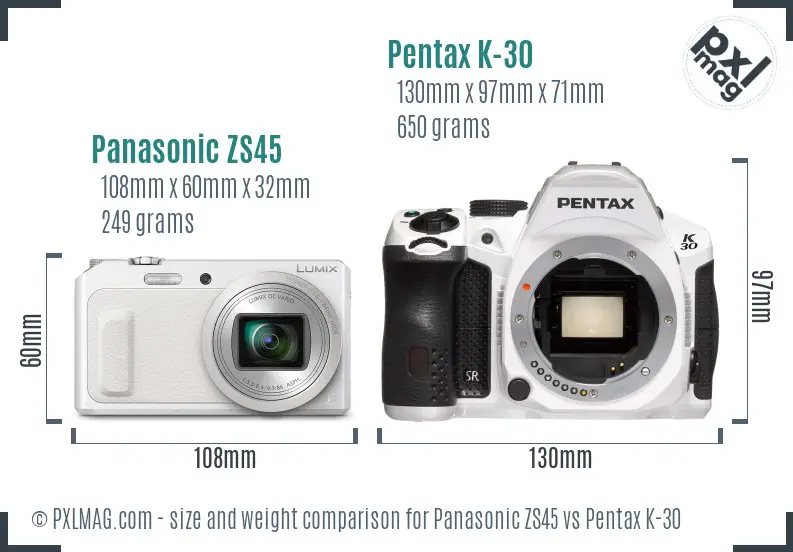 Panasonic ZS45 vs Pentax K-30 size comparison