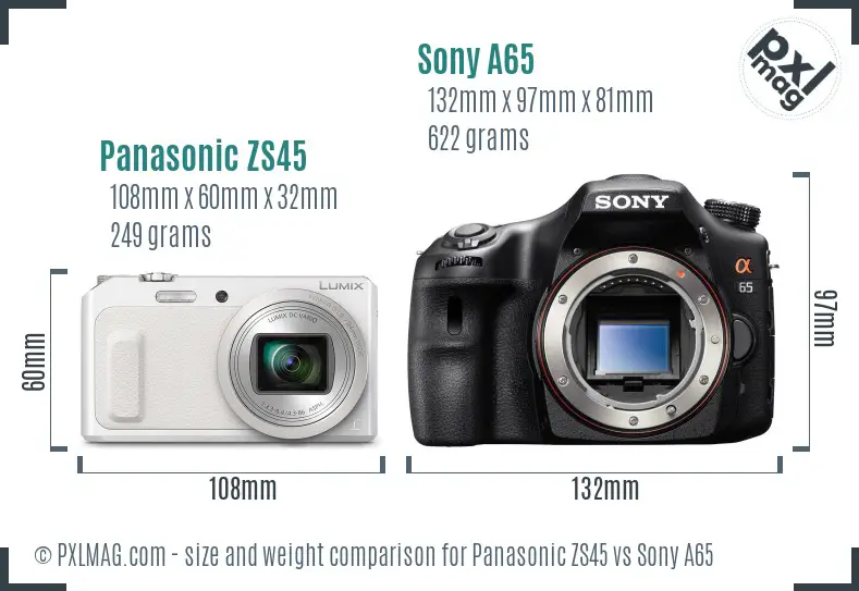 Panasonic ZS45 vs Sony A65 size comparison