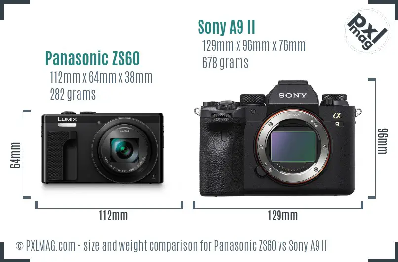 Panasonic ZS60 vs Sony A9 II size comparison