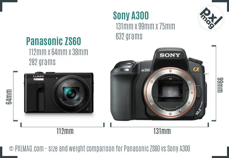 Panasonic ZS60 vs Sony A300 size comparison