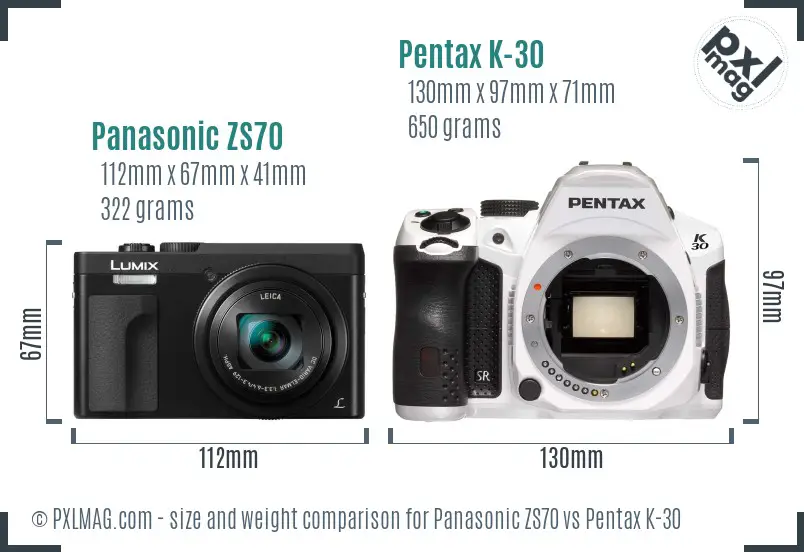 Panasonic ZS70 vs Pentax K-30 size comparison