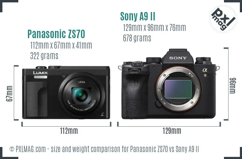 Panasonic ZS70 vs Sony A9 II size comparison