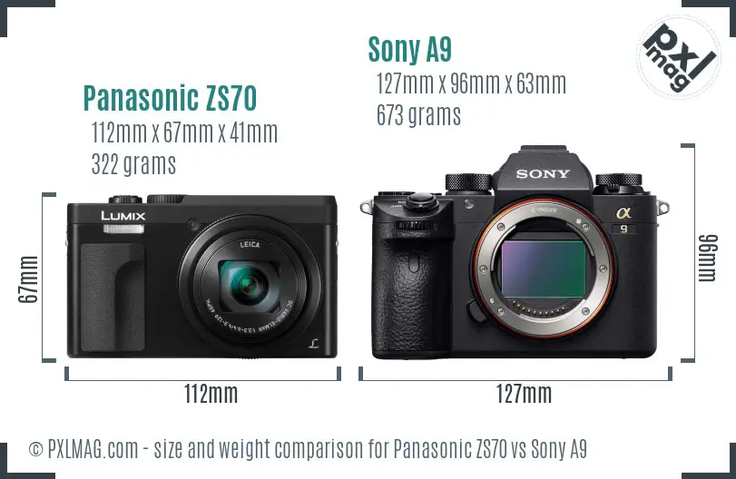 Panasonic ZS70 vs Sony A9 size comparison