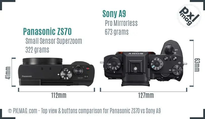 Panasonic ZS70 vs Sony A9 top view buttons comparison