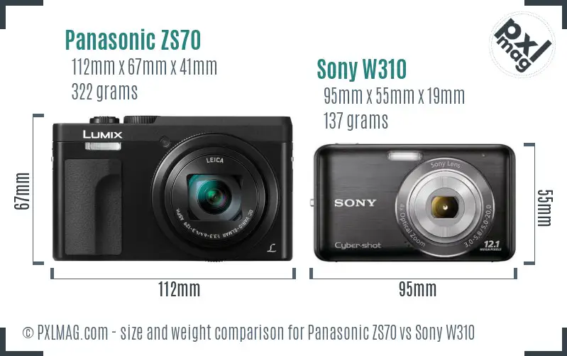 Panasonic ZS70 vs Sony W310 size comparison