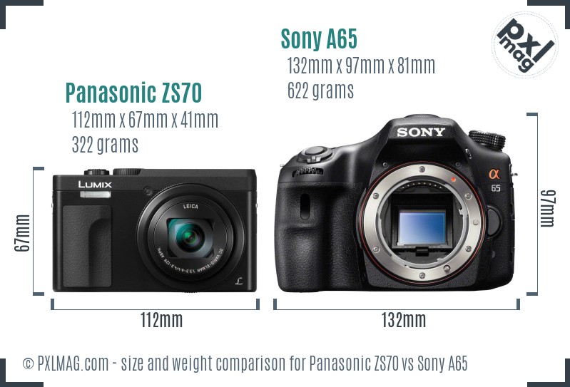 Panasonic ZS70 vs Sony A65 size comparison