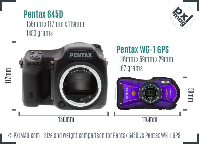 Pentax 645D vs Pentax WG-1 GPS size comparison