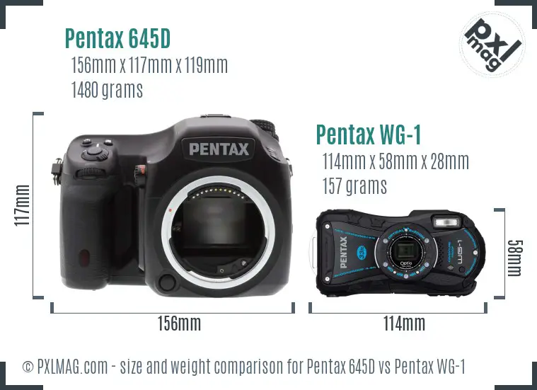 Pentax 645D vs Pentax WG-1 size comparison