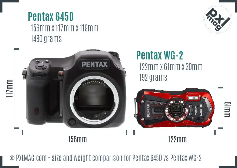 Pentax 645D vs Pentax WG-2 size comparison