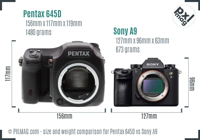 Pentax 645D vs Sony A9 size comparison