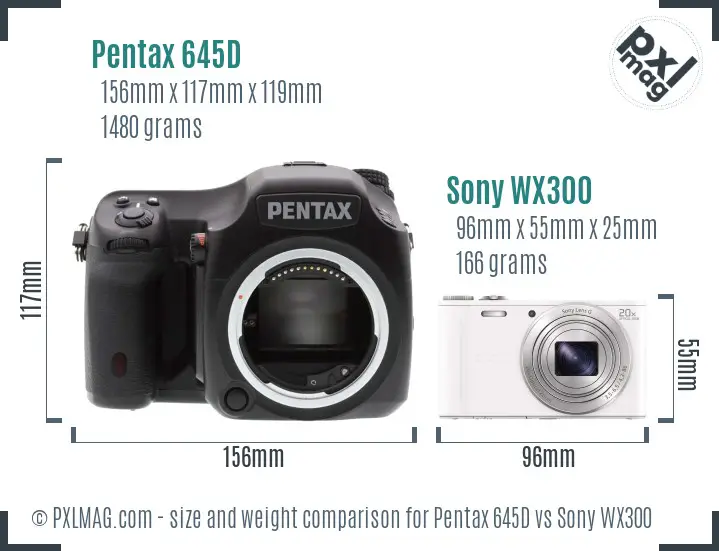 Pentax 645D vs Sony WX300 size comparison