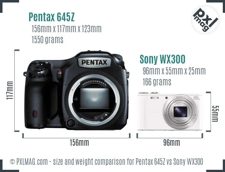 Pentax 645Z vs Sony WX300 size comparison