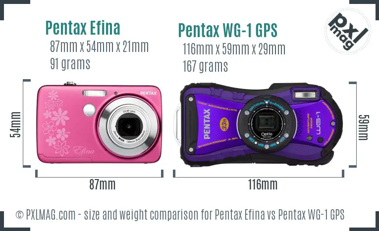 Pentax Efina vs Pentax WG-1 GPS size comparison