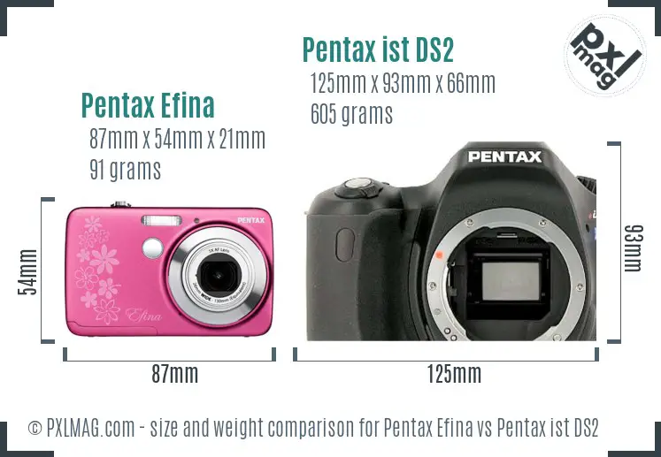 Pentax Efina vs Pentax ist DS2 size comparison