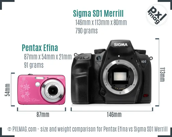 Pentax Efina vs Sigma SD1 Merrill size comparison