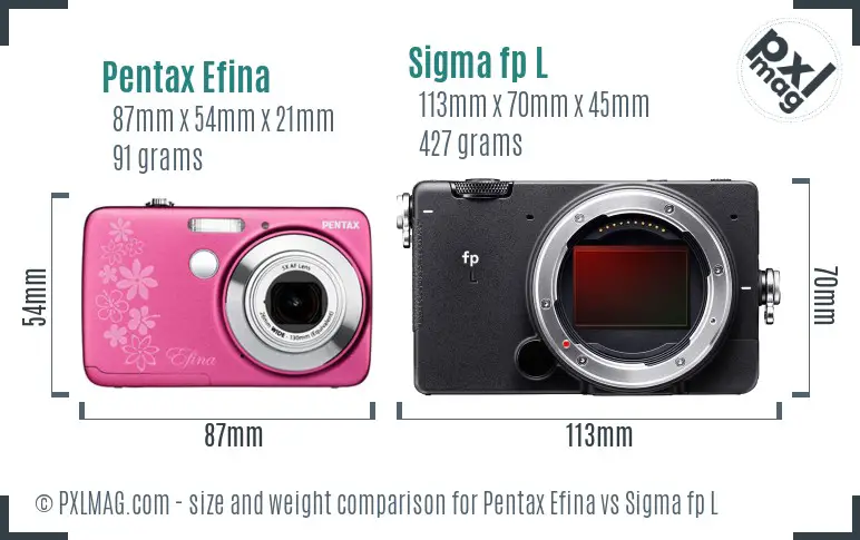 Pentax Efina vs Sigma fp L size comparison