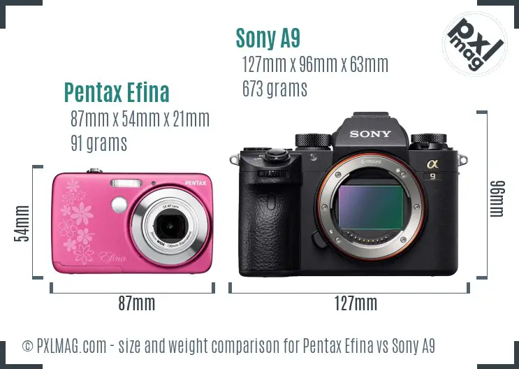 Pentax Efina vs Sony A9 size comparison