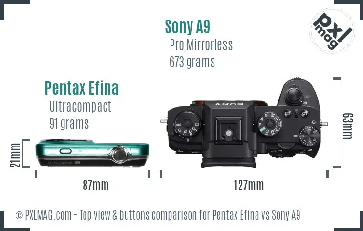 Pentax Efina vs Sony A9 top view buttons comparison