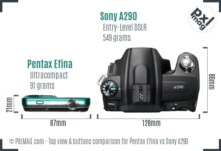 Pentax Efina vs Sony A290 top view buttons comparison