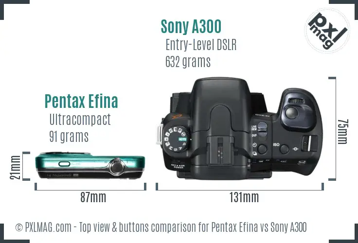 Pentax Efina vs Sony A300 top view buttons comparison