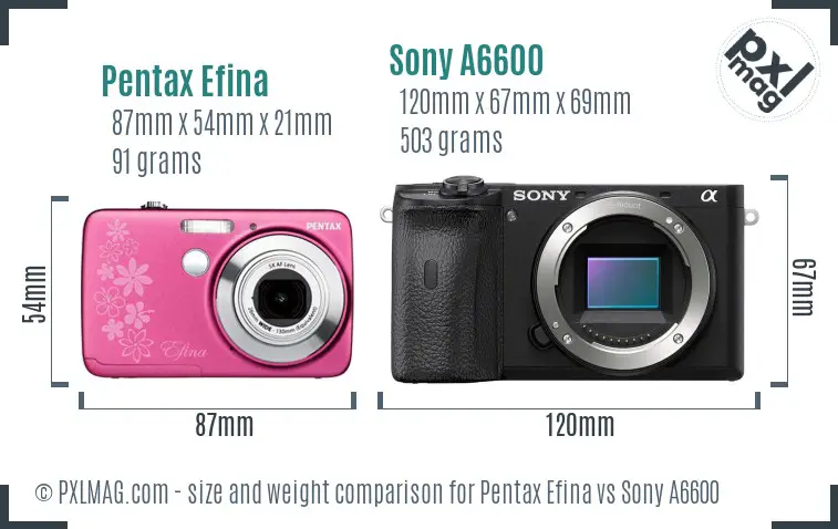 Pentax Efina vs Sony A6600 size comparison