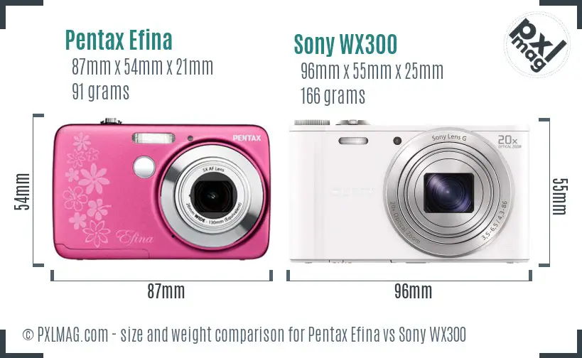 Pentax Efina vs Sony WX300 size comparison