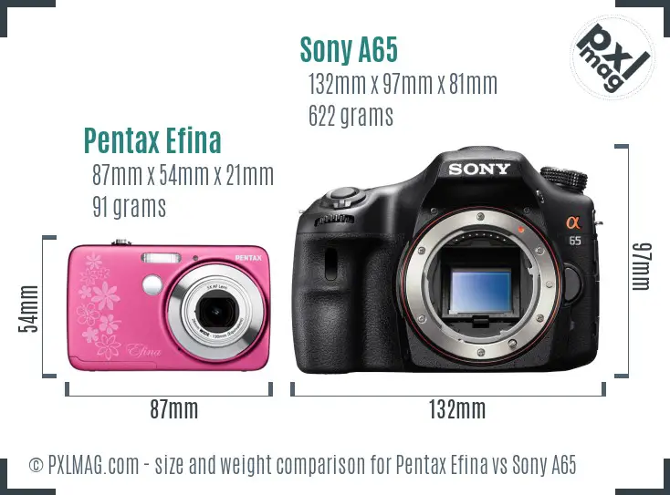 Pentax Efina vs Sony A65 size comparison