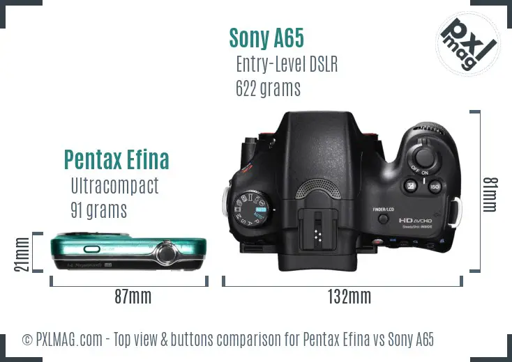 Pentax Efina vs Sony A65 top view buttons comparison