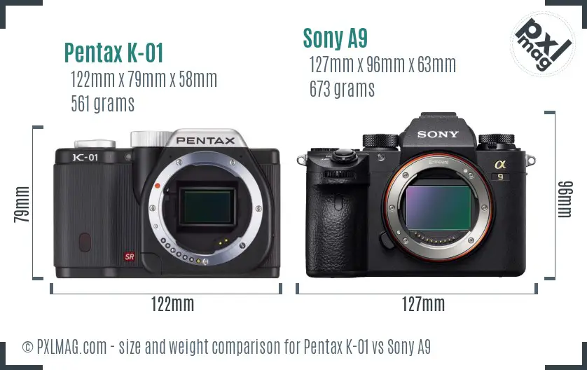 Pentax K-01 vs Sony A9 size comparison