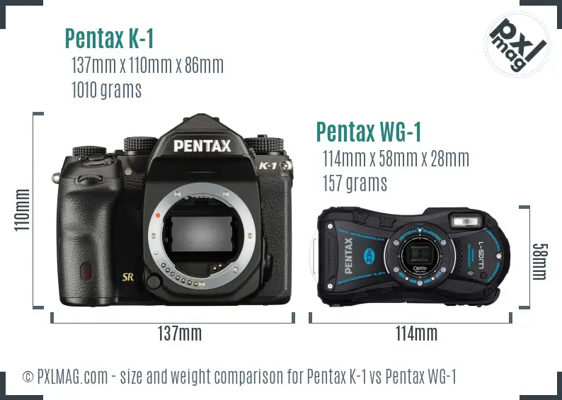 Pentax K-1 vs Pentax WG-1 size comparison