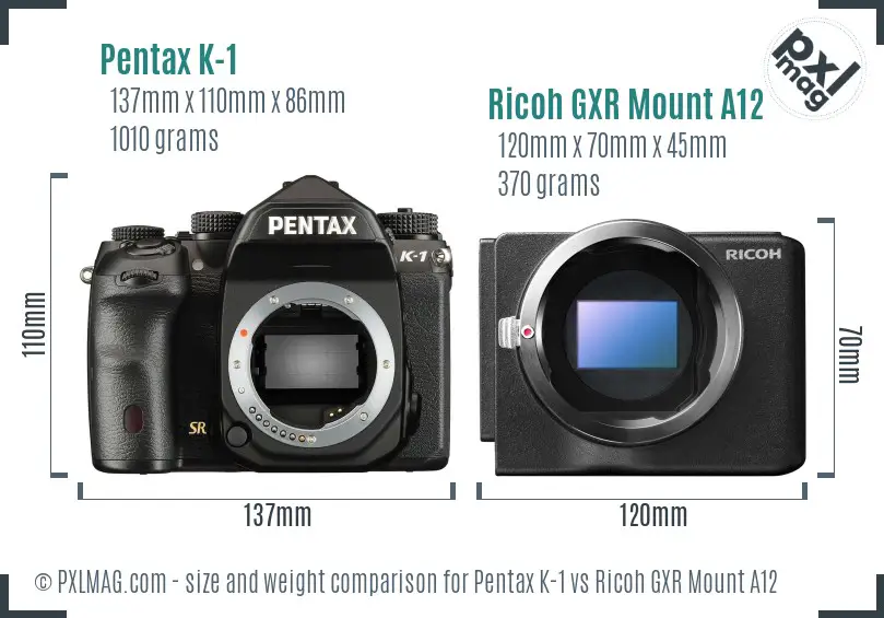 Pentax K-1 vs Ricoh GXR Mount A12 size comparison