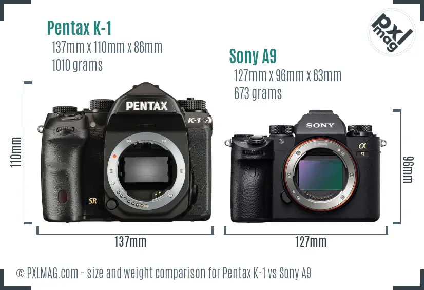 Pentax K-1 vs Sony A9 size comparison