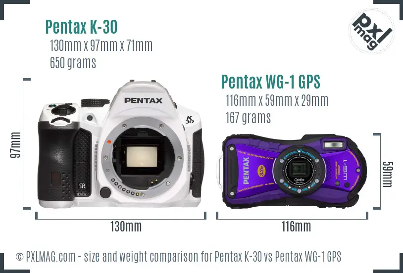 Pentax K-30 vs Pentax WG-1 GPS size comparison