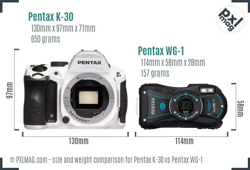 Pentax K-30 vs Pentax WG-1 size comparison