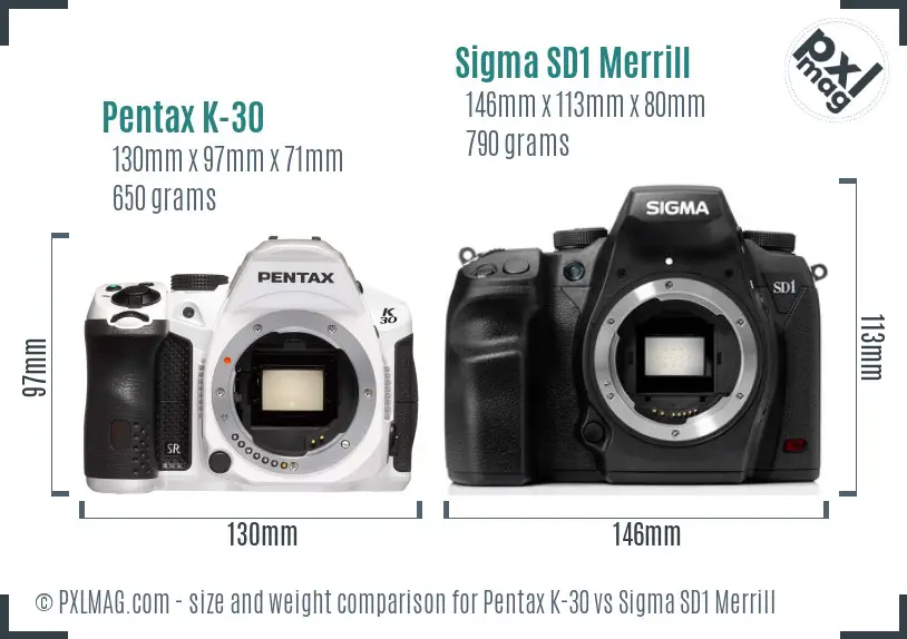 Pentax K-30 vs Sigma SD1 Merrill size comparison
