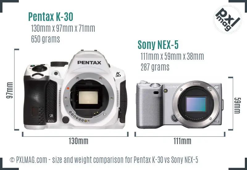Pentax K-30 vs Sony NEX-5 size comparison