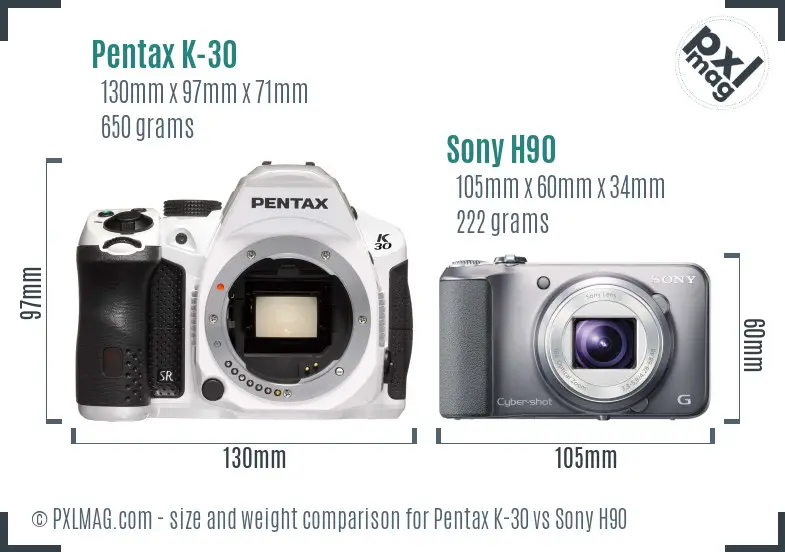 Pentax K-30 vs Sony H90 size comparison