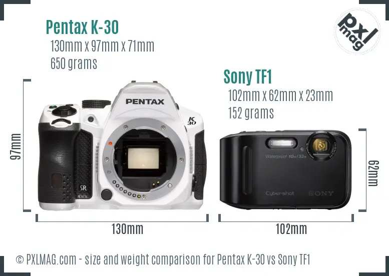 Pentax K-30 vs Sony TF1 size comparison