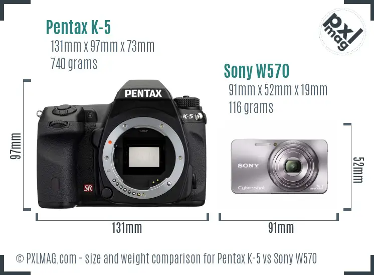 Size Comparison