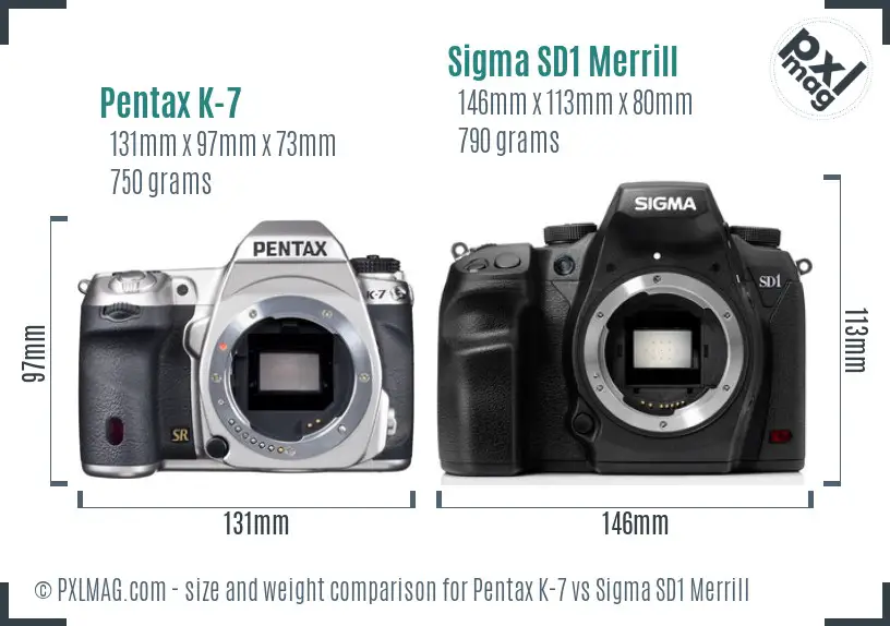 Pentax K-7 vs Sigma SD1 Merrill size comparison