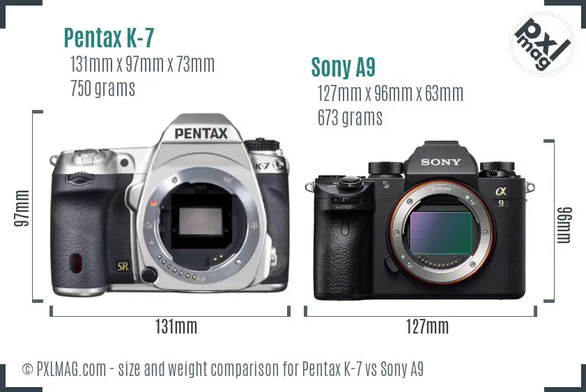 Pentax K-7 vs Sony A9 size comparison Pentax K-7 vs Sony A9 size comparison